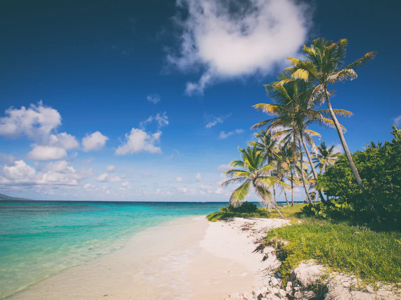 Palm trees leaning over a white sand beach and turquoise Caribbean water